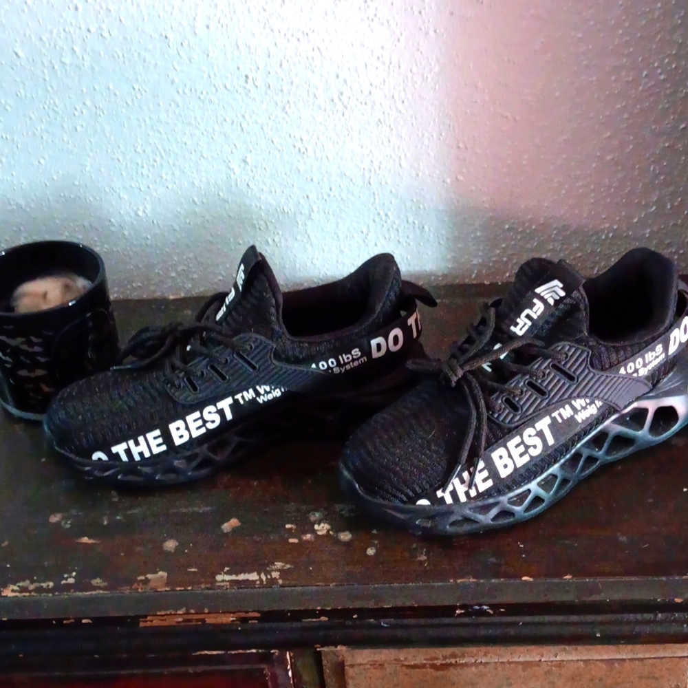 SteelToe shoes
